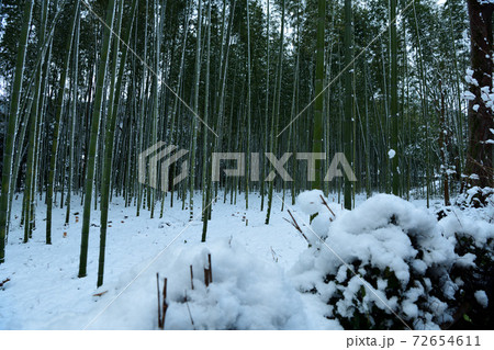 雪と竹林 雪と竹林 72654611