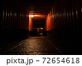 夜の千本鳥居 72654618