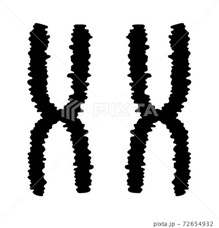 ve-4634.eps ve-4634.eps 72654932