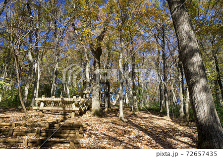 紅葉の狭山丘陵　あそびの森の入口の坂 72657435