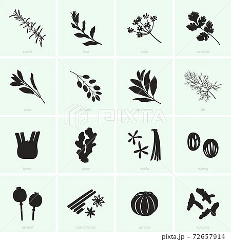 Condiments and spices 72657914