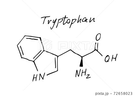 Tryptophan Chemistry Molecule Formula Hand のイラスト素材