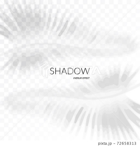 Leaf Shadow Overlay Effect, Palm Leaves Blurred Silhouette Leaf Shadow Overlay Effect, Palm Leaves Blurred Silhouette 72658313