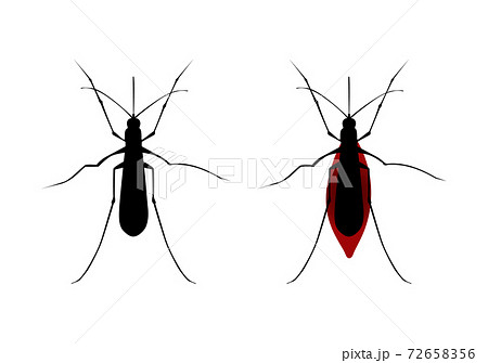Aegypti Mosquito Vector Icon, Gnat Bloodsucking Insect Sign 72658356