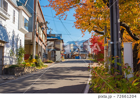 秋に染まる昔ながらの住宅街の通り 72661204