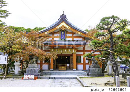 鮮やかで美しい紅葉八幡宮（福岡県福岡市早良区） 72661605