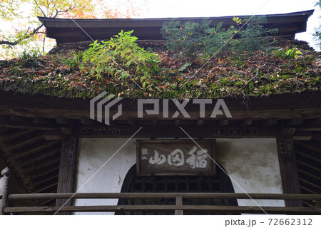 西念寺　2020-11-8　　＃30 72662312