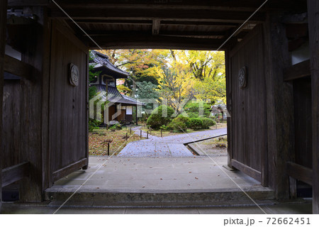 西念寺 2020-11-8 #35 西念寺 2020-11-8 #35 72662451