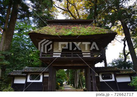 西念寺　2020-11-8　　＃42 72662717