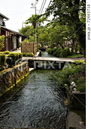 梅花藻で有名な滋賀県米原市醒ヶ井の清流 地蔵川の流れの写真素材