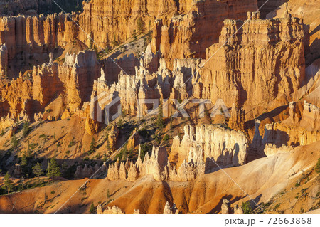 Bryce Canyon National Park Hoodoos from above 72663868