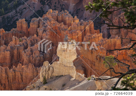 Bryce Canyon National Park Hoodoos from above Bryce Canyon National Park Hoodoos from above 72664039