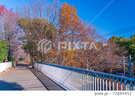 公園と住宅街を結ぶ歩道橋 公園と住宅街を結ぶ歩道橋 72664452