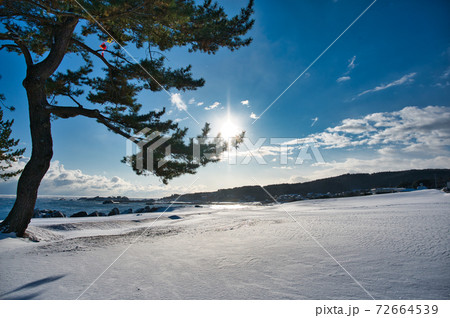 雪の種差海岸 72664539