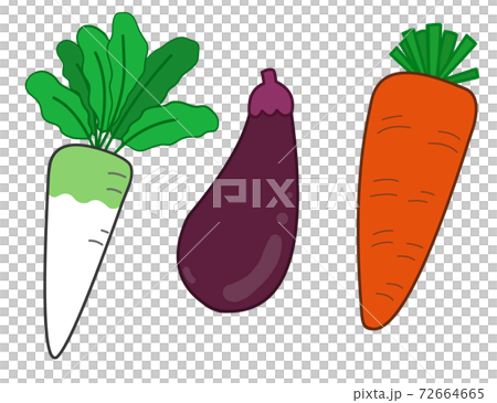 大根となすとにんじんのイラスト素材