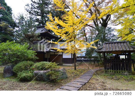 西念寺 2020-11-8 #59 西念寺 2020-11-8 #59 72665080