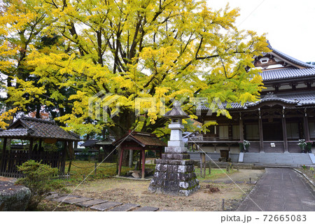 西念寺 2020-11-8 #56 西念寺 2020-11-8 #56 72665083