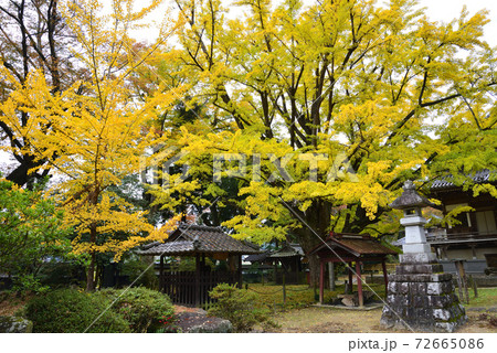 西念寺　2020-11-8　　＃53 72665086