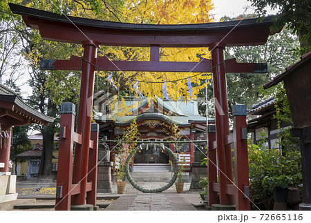 東京都杉並区永福）永福稲荷神社の第2鳥居と年越の祓と銀杏の紅葉 72665116