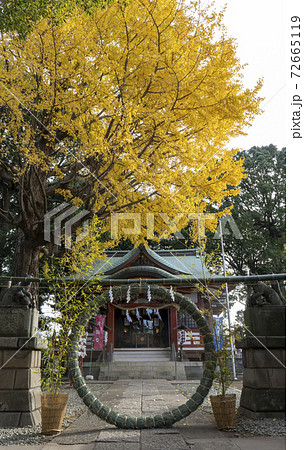 東京都杉並区永福）永福稲荷神社の年越の祓と銀杏の紅葉 72665119