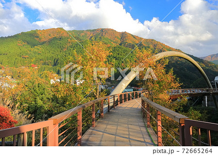 【徳島県】紅葉の祖谷ふれあい公園 72665264