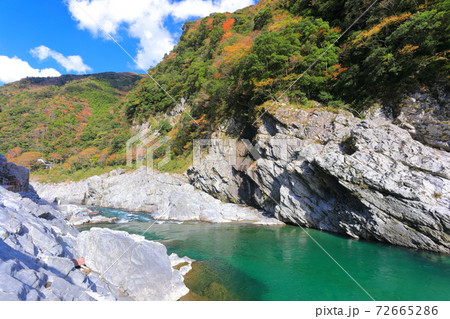 【徳島県】紅葉の大歩危峡 【徳島県】紅葉の大歩危峡 72665286