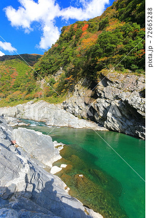 徳島県 紅葉の大歩危峡の写真素材