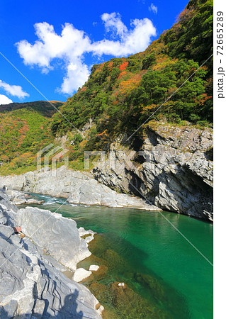 【徳島県】紅葉の大歩危峡 72665289