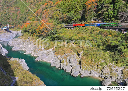 【徳島県】紅葉の大歩危峡と観光列車 【徳島県】紅葉の大歩危峡と観光列車 72665297