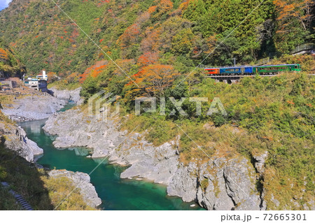 徳島県 紅葉の大歩危峡と観光列車の写真素材