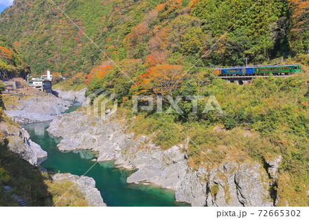 【徳島県】紅葉の大歩危峡と観光列車 72665302