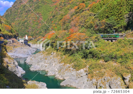 【徳島県】紅葉の大歩危峡と観光列車 72665304