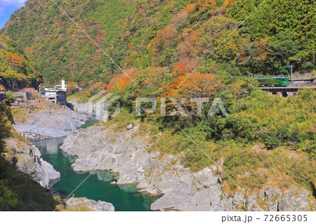 【徳島県】紅葉の大歩危峡と観光列車 72665305