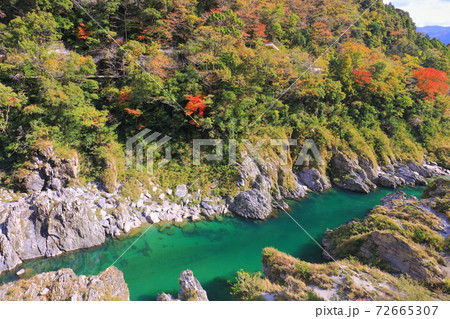 【徳島県】紅葉の大歩危峡 【徳島県】紅葉の大歩危峡 72665307