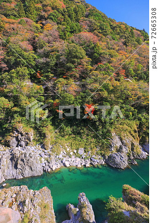 徳島県 紅葉の大歩危峡の写真素材