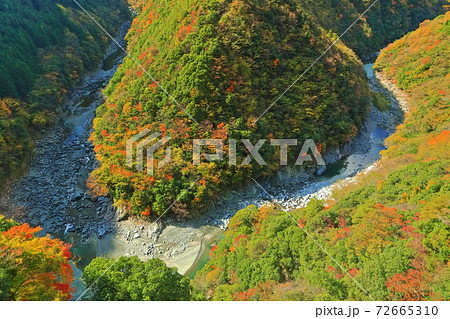 徳島県 ひの字渓谷の紅葉 祖谷渓 の写真素材