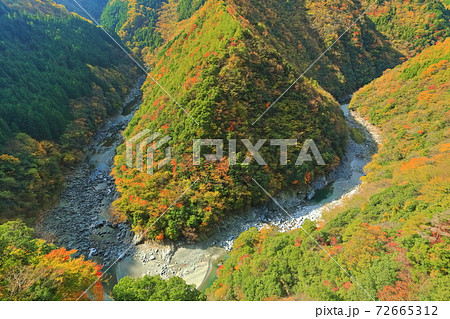 【徳島県】ひの字渓谷の紅葉(祖谷渓) 【徳島県】ひの字渓谷の紅葉(祖谷渓) 72665312