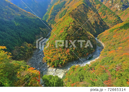 徳島県 ひの字渓谷の紅葉 祖谷渓 の写真素材