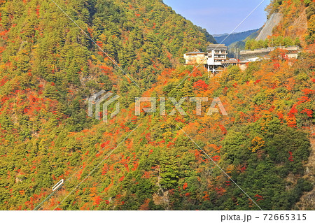 徳島県 紅葉の祖谷温泉とケーブルカーの写真素材