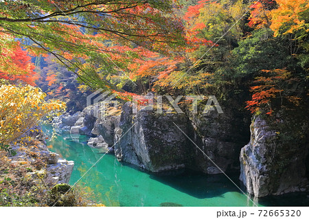 徳島県 紅葉の祖谷渓の写真素材