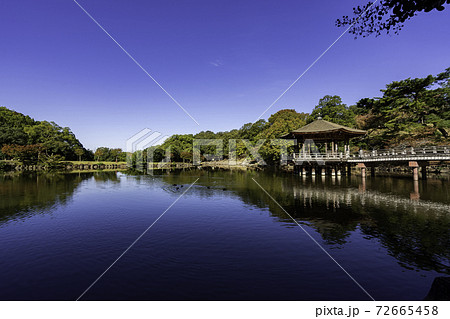 奈良公園　浮見堂　鷺池　奈良県奈良市 72665458