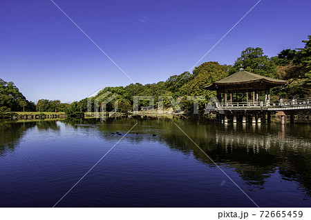 奈良公園　浮見堂　鷺池　奈良県奈良市 72665459