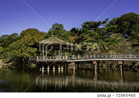 奈良公園　浮見堂　鷺池　奈良県奈良市 72665460