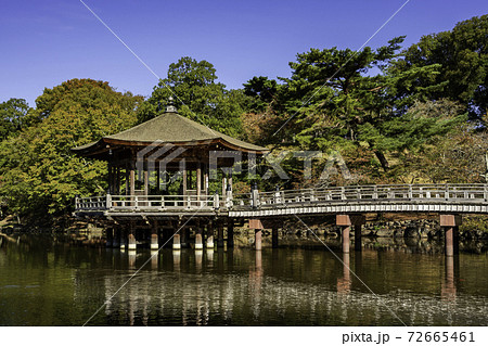 奈良公園　浮見堂　鷺池　奈良県奈良市 72665461