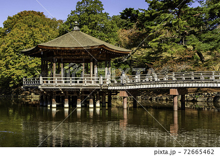 奈良公園　浮見堂　鷺池　奈良県奈良市 72665462