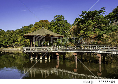 奈良公園　浮見堂　鷺池　奈良県奈良市 72665464