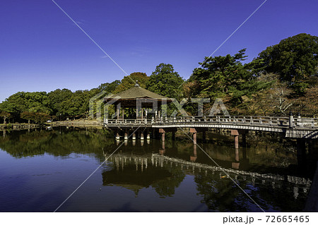 奈良公園 浮見堂 鷺池 奈良県奈良市 奈良公園 浮見堂 鷺池 奈良県奈良市 72665465