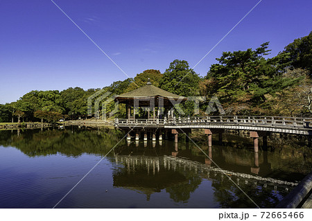 奈良公園 浮見堂 鷺池 奈良県奈良市 奈良公園 浮見堂 鷺池 奈良県奈良市 72665466