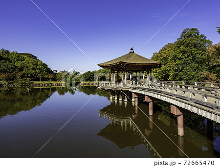 奈良公園　浮見堂　鷺池　奈良県奈良市 72665470