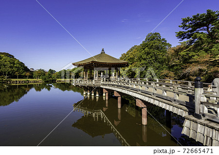 奈良公園　浮見堂　鷺池　奈良県奈良市 72665471